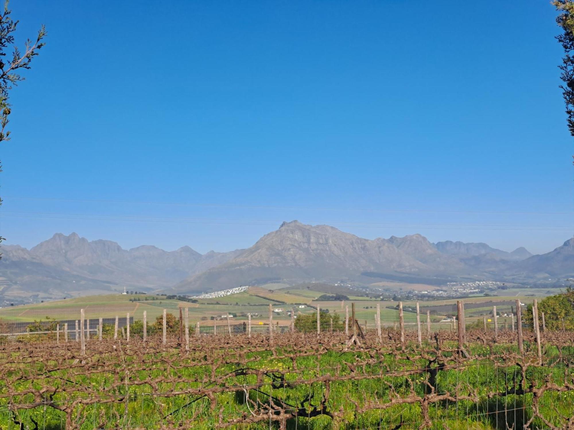 Domaine Coutelier Apartment Stellenbosch Phòng bức ảnh