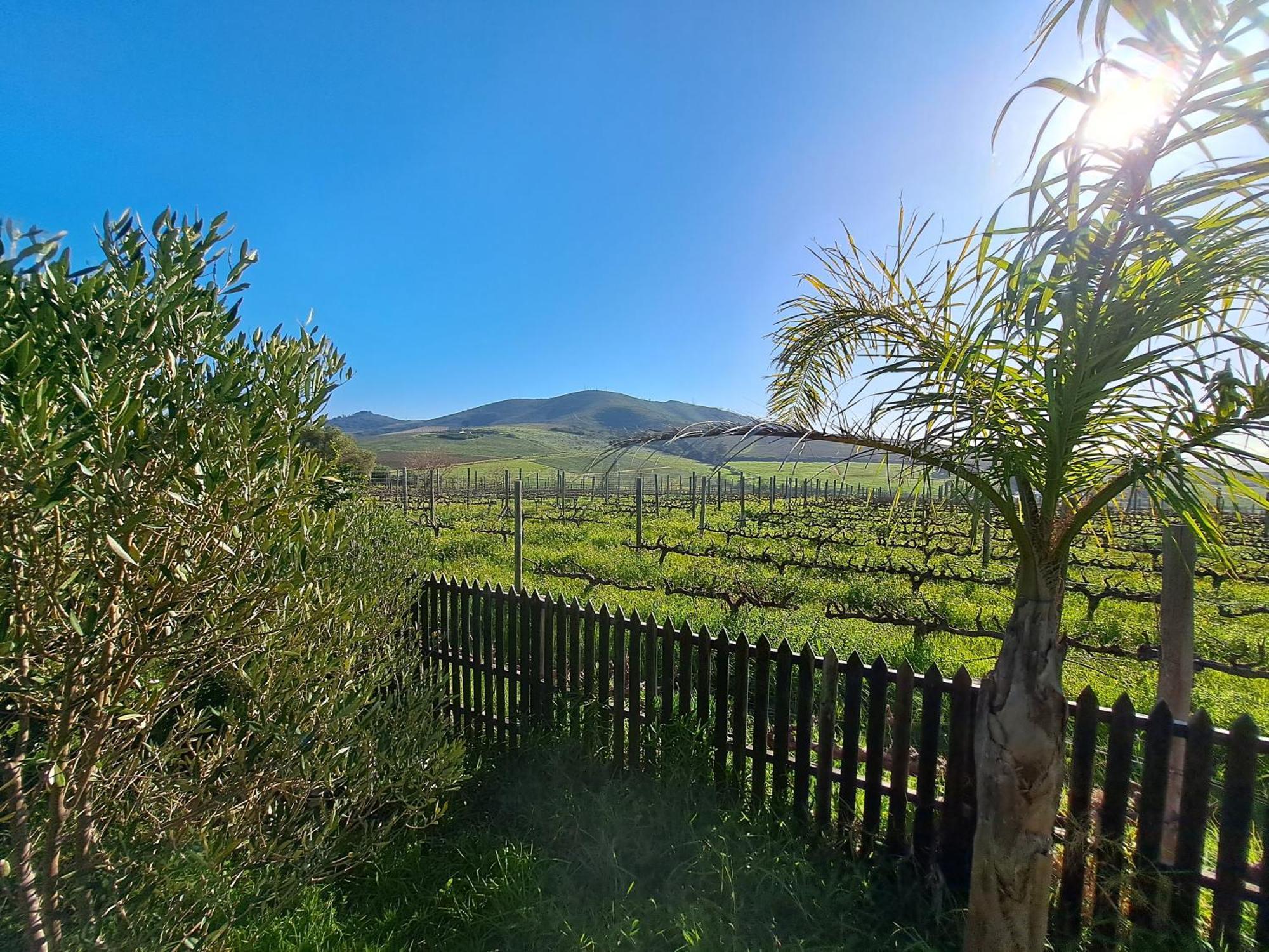 Domaine Coutelier Apartment Stellenbosch Phòng bức ảnh