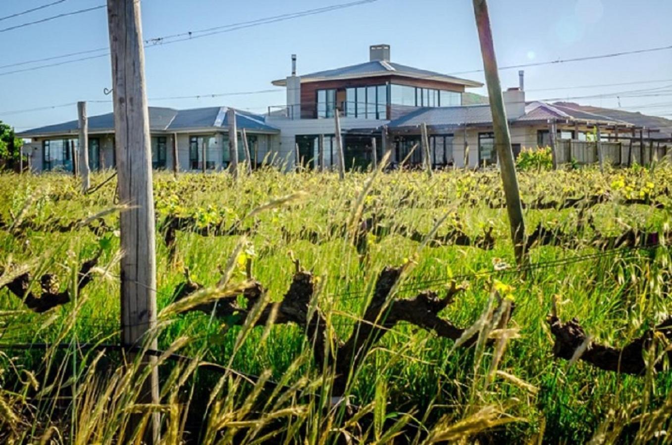 Domaine Coutelier Apartment Stellenbosch Ngoại thất bức ảnh
