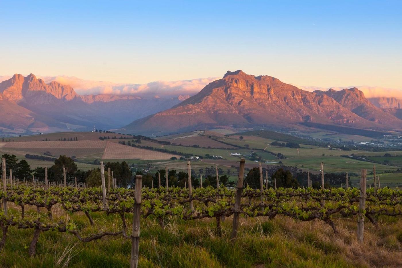 Domaine Coutelier Apartment Stellenbosch Ngoại thất bức ảnh