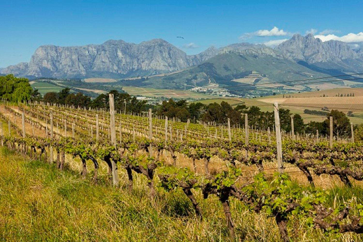 Domaine Coutelier Apartment Stellenbosch Ngoại thất bức ảnh
