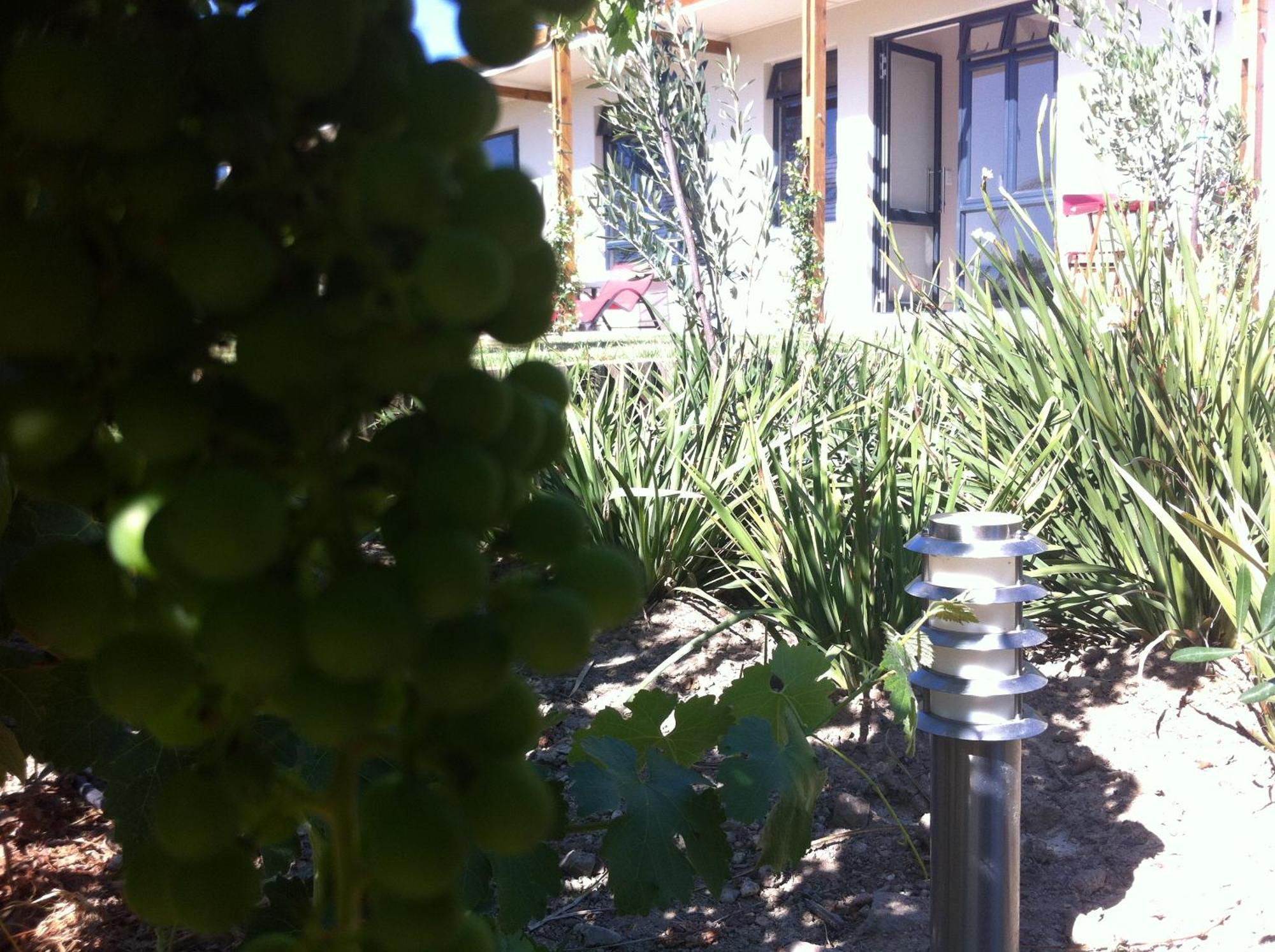 Domaine Coutelier Apartment Stellenbosch Ngoại thất bức ảnh