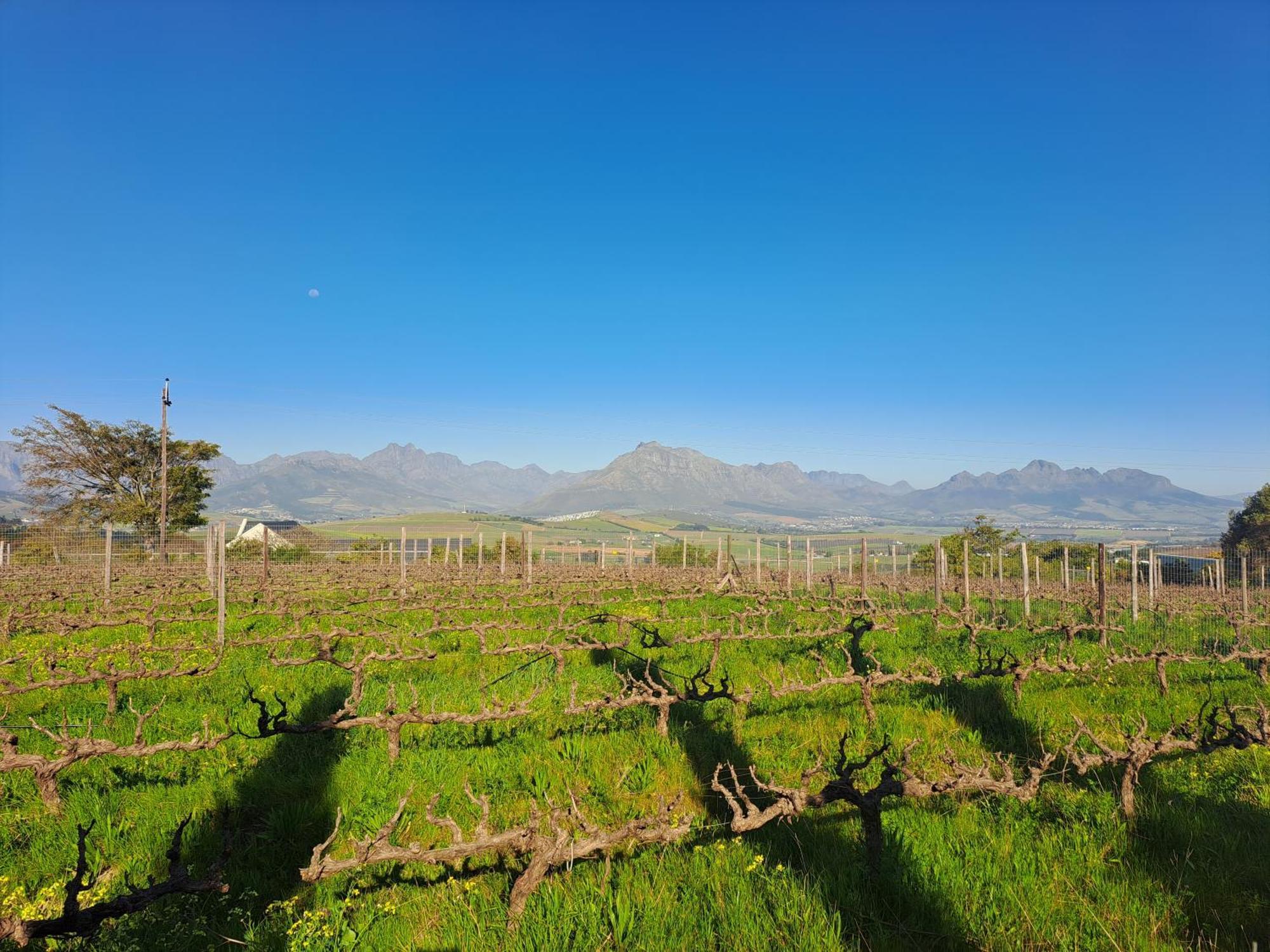 Domaine Coutelier Apartment Stellenbosch Phòng bức ảnh